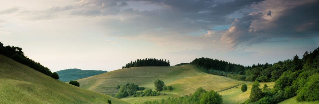 Landscape by C.Testa on unsplash